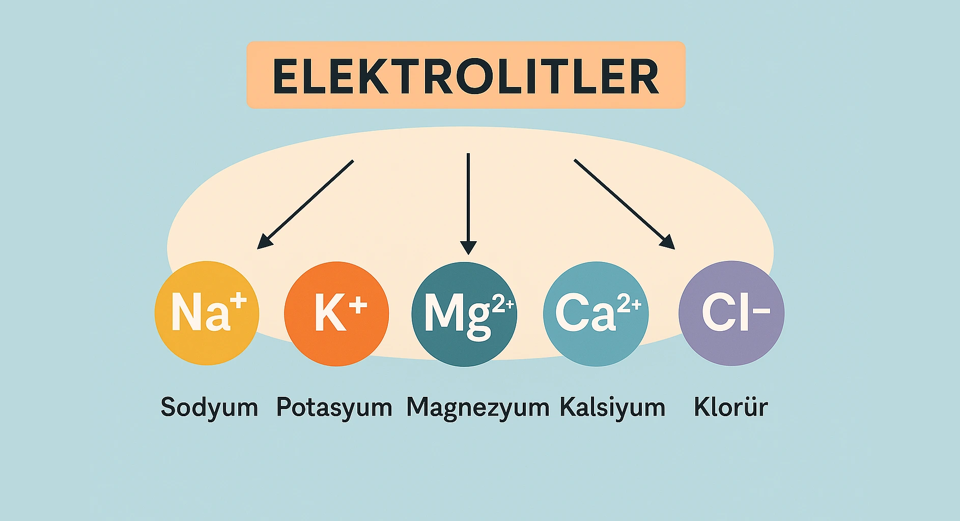 Elektrolitler ve Su Orucu Su orucu sırasında önemli beş temel elektrolit: sodyum, potasyum, magnezyum, kalsiyum ve klorür